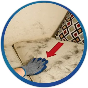 Simple Solution Pet Hair Lift Mitts how to use