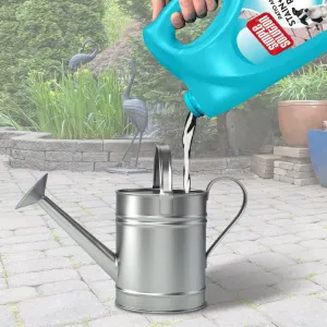 Simple Solution Patio & Deck Stain & Odour Remover can be used in a watering can