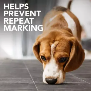 Simple Solution Patio & Deck Stain & Odour Remover precent repeat marking
