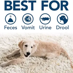 Simple Solution Patio & Deck Stain & Odour Remover best for use on