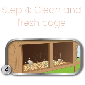 Simple Solution Cage & Hutch Freshener step four clean and fresh cage