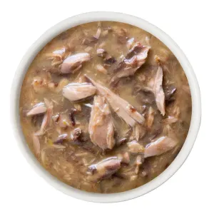 Weruva Pumpkin Jack Splash Wet Cat Food actual food
