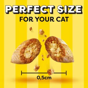 Dreamies Cat Treats perfect size