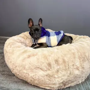 Dog’s Life Champion Winter Cape LS1 Blue