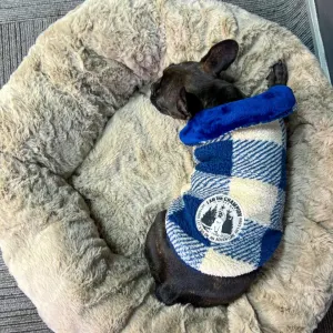 Dog’s Life Champion Winter Cape LS4 Blue