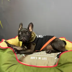 Dog’s Life Snore-A-Saur Winter Cape LS4 Black