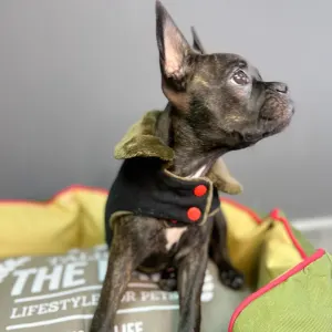 Dog’s Life Snore-A-Saur Winter Cape LS5 Black