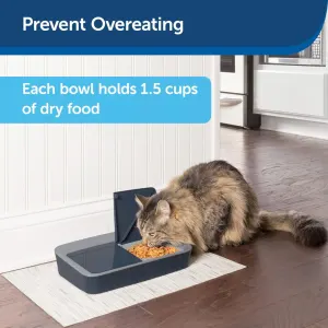Digital 2 Meal Pet Feeder prevent overheating