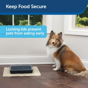 Digital 2 Meal Pet Feeder Keep food Safe
