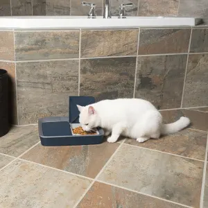 Digital 2 Meal Pet Feeder lifestyle with white cat