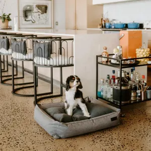 Huntlea Dog Urban Bolster Bed lifestyle with small dog sitting on bed
