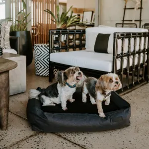 Huntlea Dog Urban Bolster Bed lifestyle with 2 small dogs sitting on bed