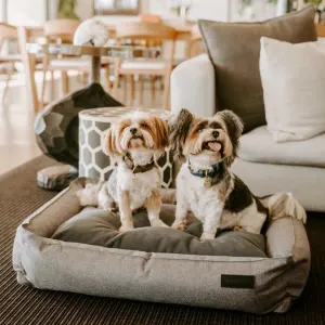 Huntlea Dog Urban Bolster Bed lifestyle with grey bed and 2 small dogs