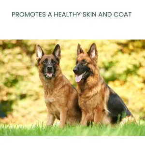 ResiFlex Tablets for Dogs supports skin and coat health