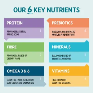 Colourful table of Naturo's 6 Key Nutrients