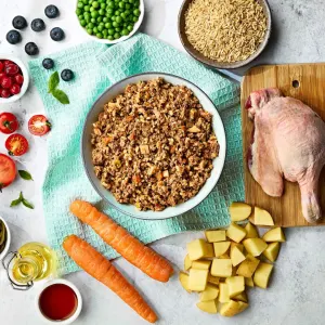 Naturo Duck With Rice and Vegetables Adult Wet Dog Food Ingredients