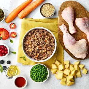 Naturo Chicken with Rice and Vegetables Wet Adult Dog Food natural products