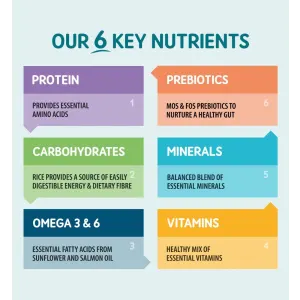Colourful table showing Naturo's 6 Key nutrients