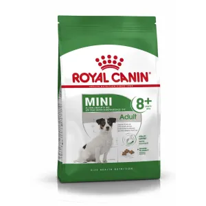 Green and white bag with Jack Russell picture of Mini Adult 8+