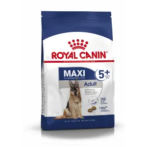 Blue & white bag of Royal canin maxi adult 5+ dog food