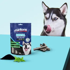 dental chews with mint leaf and charcoal powder with a large breed dog