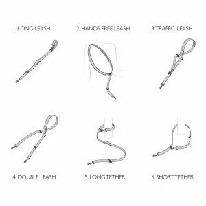 Diagrams of various functions of the dog lead