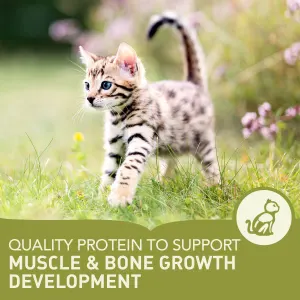Acana Cat First Feast Kitten Recipe Helps Support