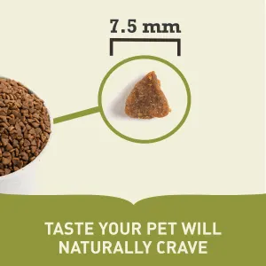bowl of kibble and single kibble indicating size