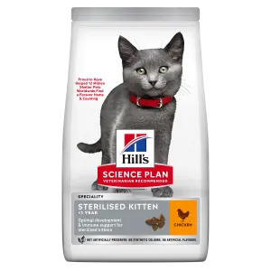 front pack shot of grey kitten