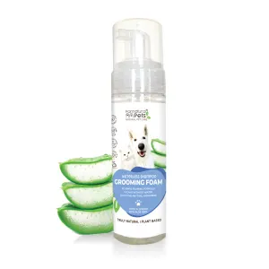 bottle with aloe vera next to it