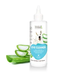 front o f bottle with aloe vera next to it
