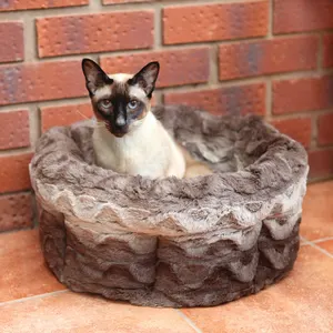 cat sitting in snuggle plush bed