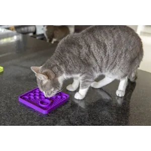 cat using lickimat catster