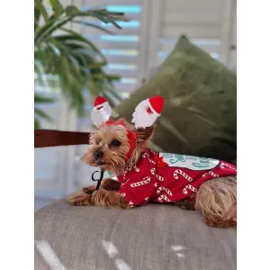 yorkie laying down while wearing santa claus headband