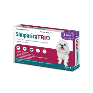 Purple Simparica Trio box with Yorkie image