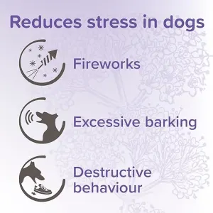 types of stressors that it reduces