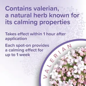 valerian info