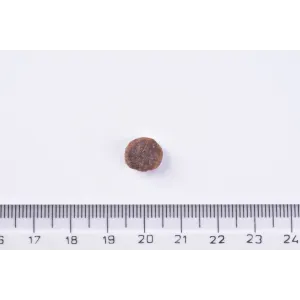 Photo of the brit adult chicken kibble next to a ruler