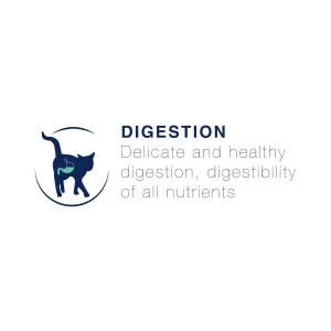 Blue Cat with healthy turquoise coloured digestion image