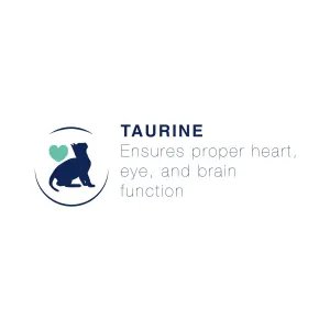 Blue coloured cat with turquoise heart taurine benefit image
