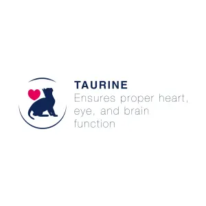 Blue coloured cat with pink heart function ,taurine benefit image