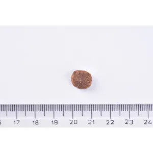 Kibble next to a ruler