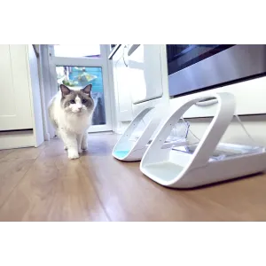 Image of lifestyle Cat next to two pet feeders