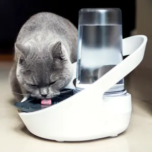 Cat drinking out of Felaqua Connect Drink Monitoring Bowl