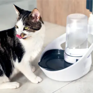 Lifestyle Cat next to Felaqua Connect Drink Monitoring Bowl