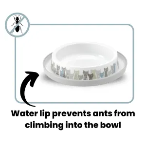 anti-ant info, water lip prevents ants from climbing into bowl
