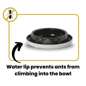anti-ant info, water lip prevents ants from climbing into bowl