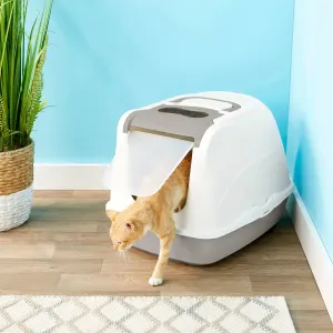 cat walking out of toilet