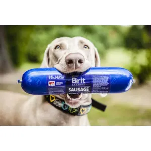 dog with the dog sausage in its mouth