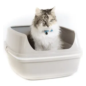 cat sitting in life to sift litter box